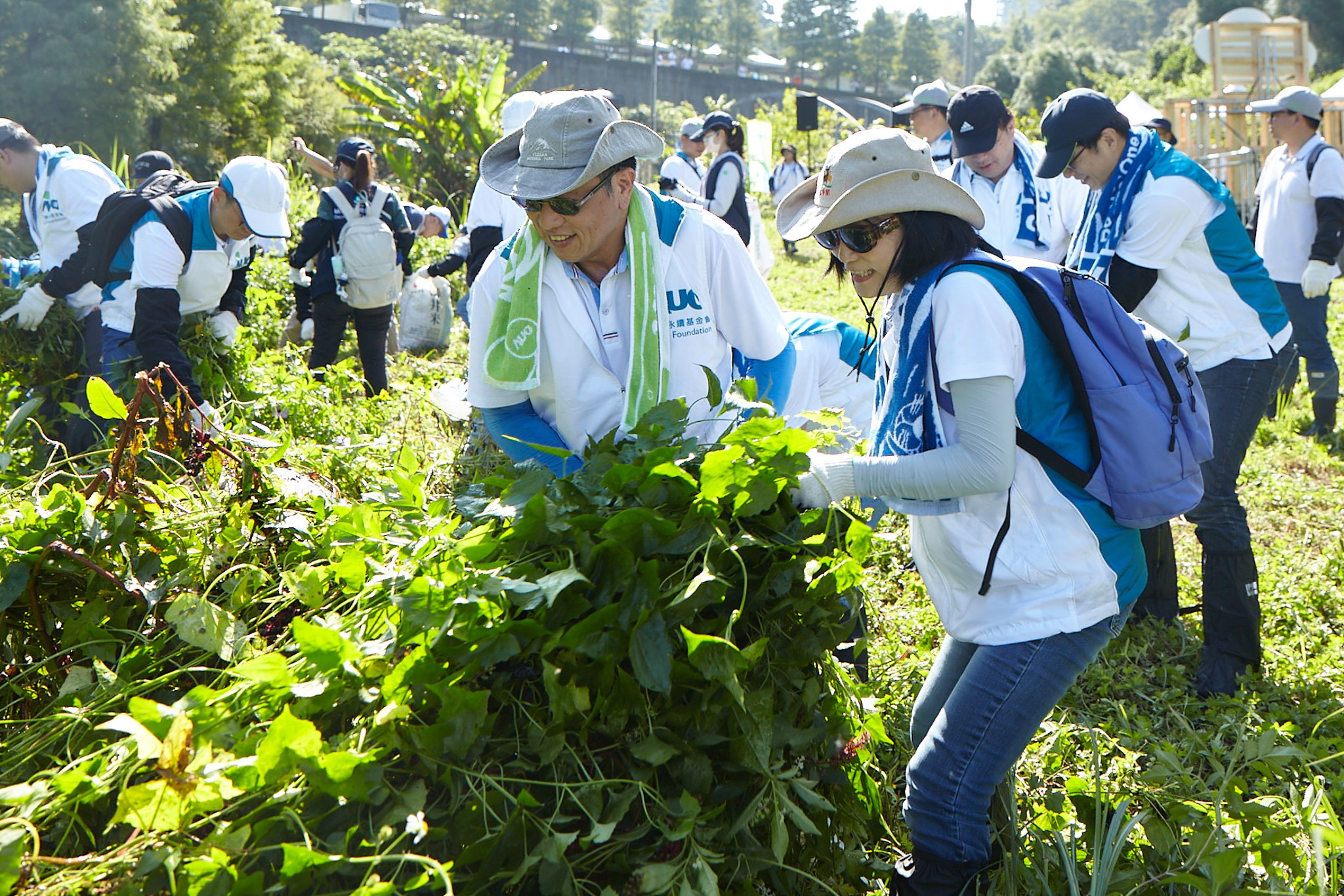AUO works with partners and corporate volunteers to tackle invasive plant species, conducting regular removal and control operations targeting Mikania micrantha along the Xiaoli River near AUO’s Longtan fab.
